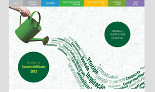 Imagem do hotsite do relatório 2013